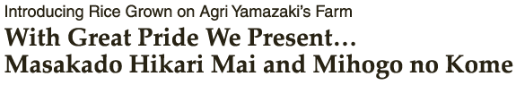 Introducing Rice Grown on Agri Yamazaki’s Farm With Great Pride We Present… Masakado Hidari Mai and Mihogo no Kome